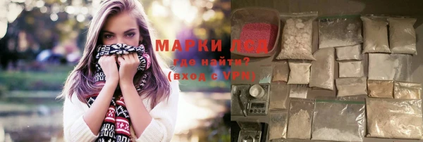 стафф Арсеньев