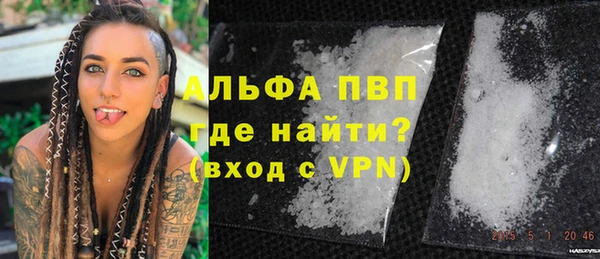 стафф Арсеньев