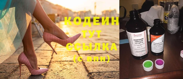 стафф Арсеньев