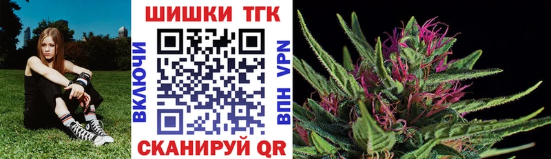 Конопля сатива  Тутаев 